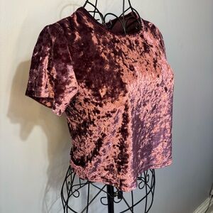 Velvet Short-Sleeve Crop Top